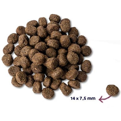 Renske Super Premium Senior Kalkoen Graanvrij Hypoallergeen 2 Kg