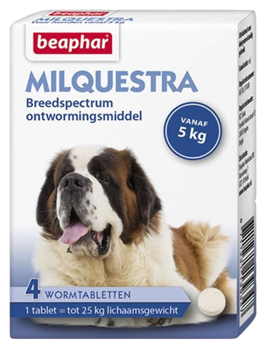 Beaphar Milquestra Hond 2 Tbl