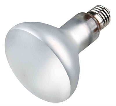 Trixie Reptiland Prosun Mixed D3 Uv-B Lamp Zelfstartend 100 Watt 9,5X9,5X13 Cm