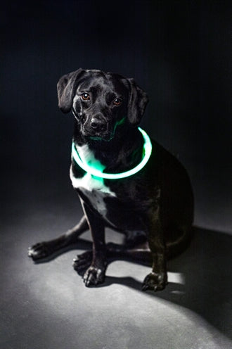 Trixie Lichtgevende Halsband Usb Flash Light Oplaadbaar Tpu Groen 65X0,8 Cm