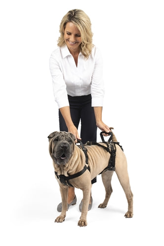 Solvit Petsafe Carelift Voor En Achter Medium