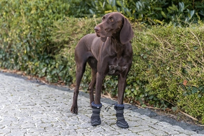 Trixie Pootbescherming Walker Active Long Zwart M-L 2 St