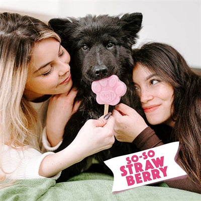 Smoofl Ijsmix Voor Honden Aardbei 160 Gr