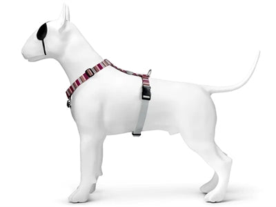 Morso Hondentuig H-Tuig Gerecycled Skyline Rood / Roze 50-70X1,5 Cm