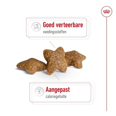 Royal Canin Mini Adult 2 Kg