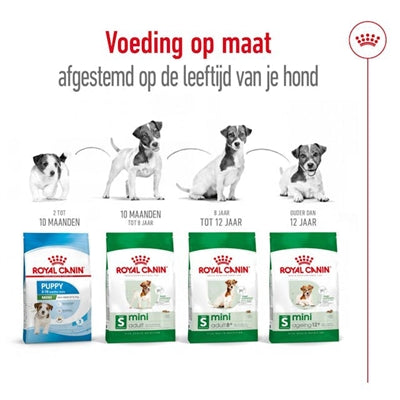 Royal Canin Mini Adult 8 Kg