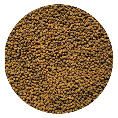 Utopia Goudviskorrel Drijvend 350 Ml