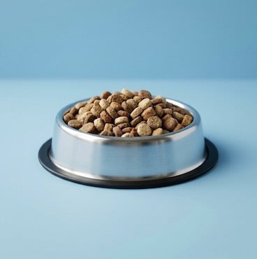 petsorama dog kibble