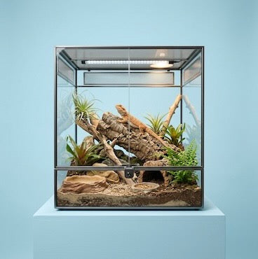 petsorama reptile housing