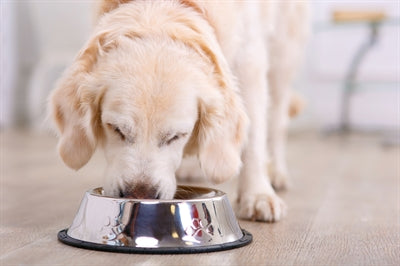 Happy Pet Voerbak Antislip 17 Cm