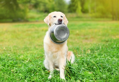 Happy Pet Voerbak Rvs 29 Cm