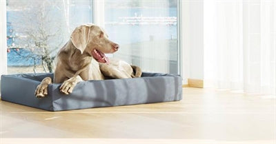 Bia Bed Hondenmand Original Grijs Bia-4 85X70X15Cm