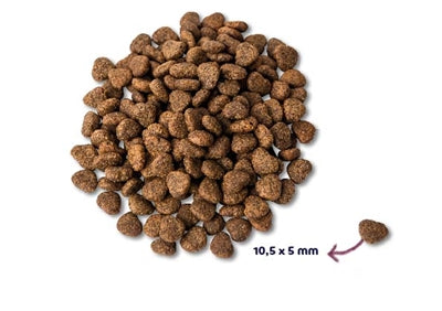 Renske Super Premium Adult Kip Graanvrij Hypoallergeen 12 Kg