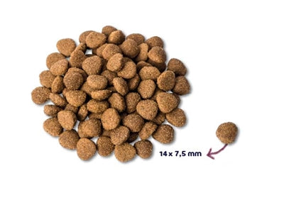 Renske Super Premium Adult Kalkoen / Eend 12 Kg