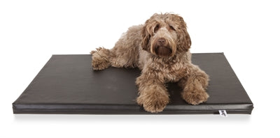 Bia Bed Matras Orthopedisch Ligbed Zwart 105X66X5 Cm