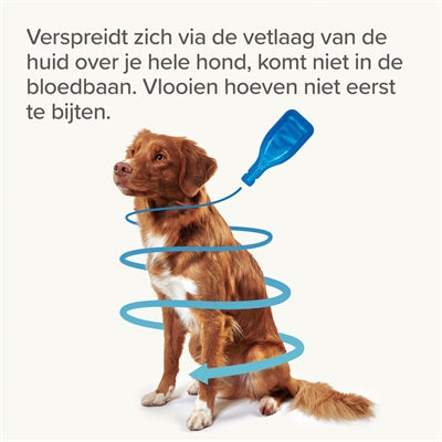 Beaphar Fiprotec Hond Tegen Teken En Vlooien 2-10 Kg 3+1 Pip