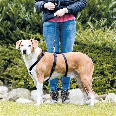 Trixie Hondentuig Stay Zwart L-Xl 70-100 Cm