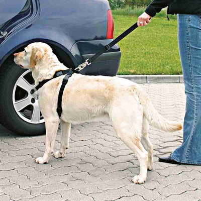Trixie Hondentuig Auto Inclusief Gordel Zwart 20-50X1,5 Cm
