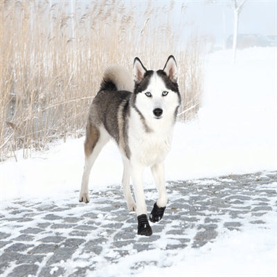 Trixie Pootbescherming Walker Active Zwart Xl 2 St