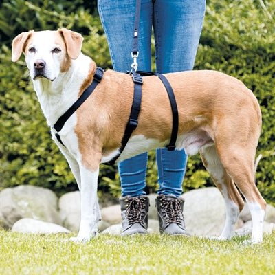 Trixie Hondentuig Stay Zwart 32-45X1 Cm
