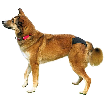 Trixie Loopsheidbroekje Zwart M 40-49 Cm