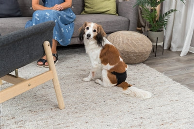 Trixie Loopsheidbroekje Zwart L 50-59 Cm