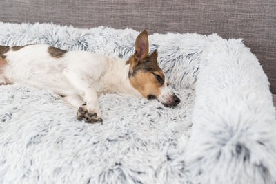 Trixie Sofa Bed Harvey Meubelbeschermer Hoekig Wit / Zwart 70X90X7 Cm