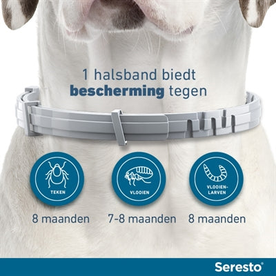 Bayer Seresto Teken- En Vlooienband Hond Vanaf 8 Kg 70 Cm 2 St