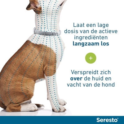 Bayer Seresto Teken- En Vlooienband Hond Vanaf 8 Kg 70 Cm 2 St
