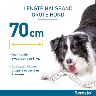 Bayer Seresto Teken- En Vlooienband Hond Vanaf 8 Kg 70 Cm 2 St