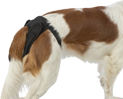 Trixie Beschermbroekje Comfort Mesh Materiaal Zwart 35-43 Cm