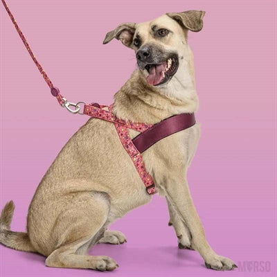 Morso Norwegian Hondentuig Gerecycled Pink Think Roze 41-56X38 Cm