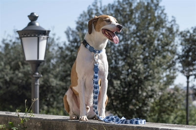 Morso Halsband Hond Gerecycled Splash Blauw 43-70X2,5 Cm
