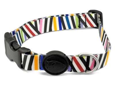 Morso Halsband Hond Gerecycled Spaghetti Incident 43-70X2,5 Cm