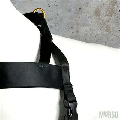 Morso Norwegian Hondentuig Gerecycled Gold Caviar Goud 69-86X63 Cm