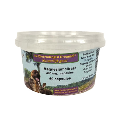 Dierendrogist Magnesium Citraat Capsules 480Mg 60 St