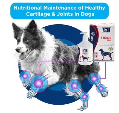 Trm Stride Plus 500 Ml