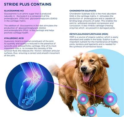 Trm Stride Plus 500 Ml