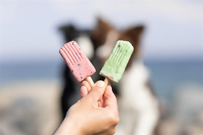 Trixie Ice Pop Groen 55 Gr