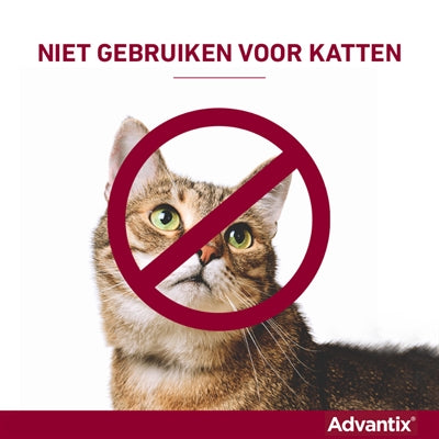 Elanco Advantix Spot On 600/3000 40+ Kg - 4 Pip