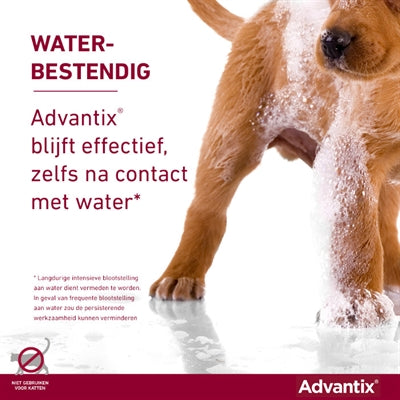 Elanco Advantix Spot On 600/3000 40+ Kg - 4 Pip