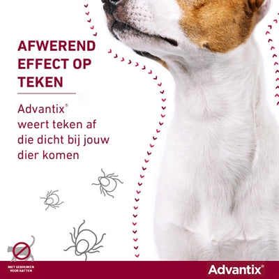 Elanco Advantix Spot On 600/3000 40+ Kg - 4 Pip