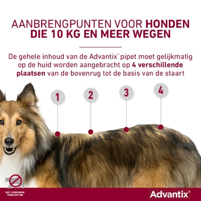 Elanco Advantix Spot On 600/3000 40+ Kg - 4 Pip