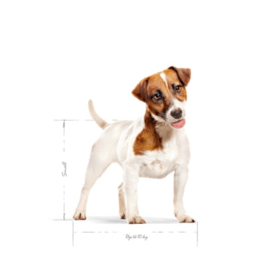 Royal Canin Mini Adult 8 Kg