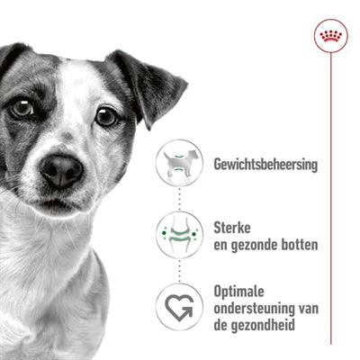 Royal Canin Mini Adult 8 Kg