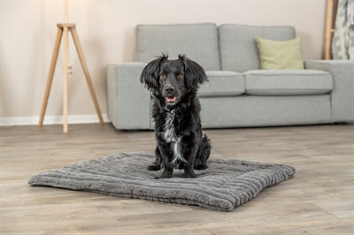 Trixie Ligmat Lonni Ribfluweel Grijs 60X45 Cm