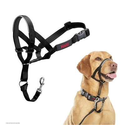 The Company Of Animals Company Of Animals Halti Headcollar Zwart Nr 3