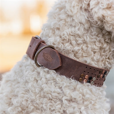 Trixie Halsband Hond Rivet Rustic Vetleer Donkerbruin L 47-54 Cmx4 Cm