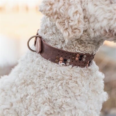 Trixie Halsband Hond Rivet Rustic Vetleer Donkerbruin Xl 55-65 Cmx4 Cm