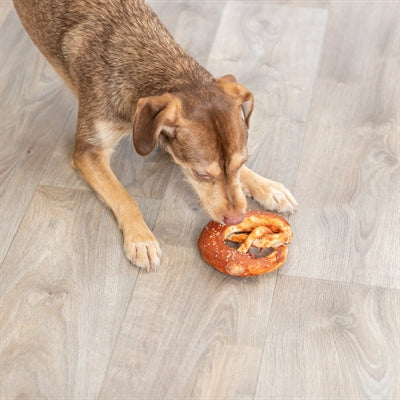Trixie Denta Fun Pretzels Eend 15 Cm